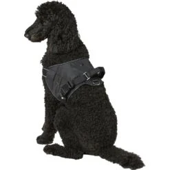Frisco Big Dog Harness 12 Frisco Big Dog Harness -Pet Dog Shop 227877 PT5. AC SS1800 V1600307758