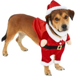 Frisco Front Walking Santa Dog & Cat Costume, 1 Count -Pet Dog Shop 228785 PT3. AC SS1800 V1631300866