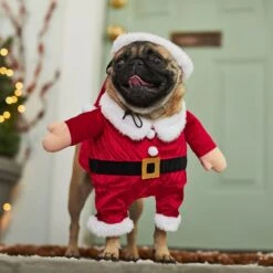 Frisco Front Walking Santa Dog & Cat Costume, 1 Count -Pet Dog Shop 228785 PT7. AC SS1800 V1601560869