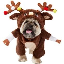 Frisco Front Walking Reindeer Dog & Cat Costume, 1 Count 11 Frisco Front Walking Reindeer Dog & Cat Costume, 1 Count -Pet Dog Shop 228790 PT2. AC SS1800 V1636731101