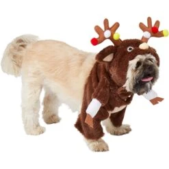Frisco Front Walking Reindeer Dog & Cat Costume, 1 Count 12 Frisco Front Walking Reindeer Dog & Cat Costume, 1 Count -Pet Dog Shop 228790 PT3. AC SS1800 V1631299657