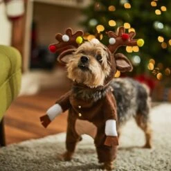 Frisco Front Walking Reindeer Dog & Cat Costume, 1 Count 16 Frisco Front Walking Reindeer Dog & Cat Costume, 1 Count -Pet Dog Shop 228790 PT7. AC SS1800 V1636743685