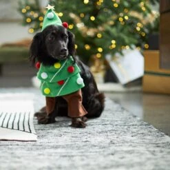 Frisco Front Walking Christmas Tree Dog & Cat Costume 12 Frisco Front Walking Christmas Tree Dog & Cat Costume -Pet Dog Shop 229164 PT7. AC SS1800 V1601385981