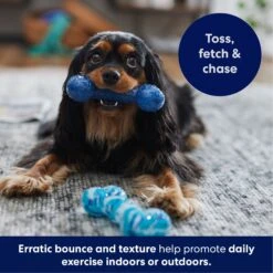 Frisco Retro Denim & Swirl TPR Bone Squeaky Dog Toy -Pet Dog Shop 230341 PT4. AC SS1800 V1695748896