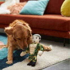 Frisco Retro Camo Hero Muscle Plush Squeaky Dog Toy 5 Frisco Retro Camo Hero Muscle Plush Squeaky Dog Toy -Pet Dog Shop 230375 PT3. AC SS1800 V1602639726