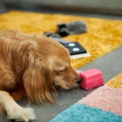 Frisco Retro Funky Van TPE Treat Dispenser Dog Toy, Medium/Large 8 Frisco Retro Funky Van TPE Treat Dispenser Dog Toy, Medium/Large -Pet Dog Shop 230383 PT4. AC SS1800 V1669908614