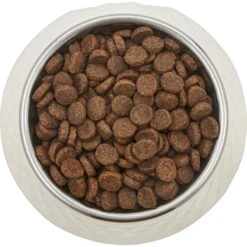Frisco Hammered Melamine Stainless Steel Dog Bowl 9 Frisco Hammered Melamine Stainless Steel Dog Bowl -Pet Dog Shop 232083 PT3. AC SS1800 V1609885089