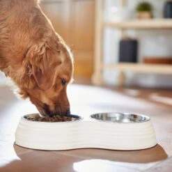 Frisco Stainless Steel Double Dog Bowls With Melamine Stand -Pet Dog Shop 232092 PT7. AC SS1800 V1693015855