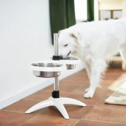 Frisco Adjustable Stainless Steel Double Elevated Dog Bowls 13 Frisco Adjustable Stainless Steel Double Elevated Dog Bowls -Pet Dog Shop 232097 PT8. AC SS1800 V1605740511