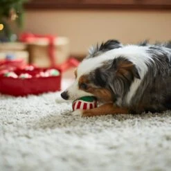 Frisco Holiday Wreath Fetch Squeaky Tennis Ball Dog Toy 10 Frisco Holiday Wreath Fetch Squeaky Tennis Ball Dog Toy -Pet Dog Shop 233189 PT3. AC SS1800 V1665759769