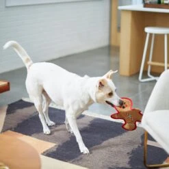 Frisco Holiday Gingerbread Man Flat Plush Squeaky Dog Toy -Pet Dog Shop 233241 PT2. AC SS1800 V1601311903