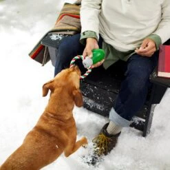 Frisco Holiday Christmas Light Rope With TPR Squeaky Dog Toy -Pet Dog Shop 233278 PT2. AC SS1800 V1601641574