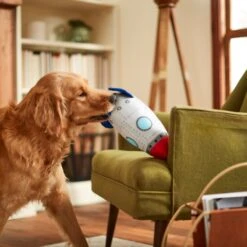 Frisco Ballistic Nylon Plush Squeaky Rocket Ship Dog Toy 5 Frisco Ballistic Nylon Plush Squeaky Rocket Ship Dog Toy -Pet Dog Shop 233581 PT3. AC SS1800 V1600973767
