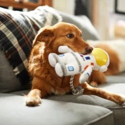 Frisco Ballistic Nylon Plush With Rope Squeaky Astronaut Dog Toy 5 Frisco Ballistic Nylon Plush With Rope Squeaky Astronaut Dog Toy -Pet Dog Shop 233585 PT3. AC SS1800 V1600973761