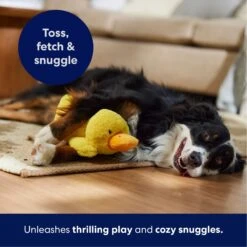 Frisco Duck Plush Squeaky Dog Toy -Pet Dog Shop 233613 PT4. AC SS1800 V1695670688