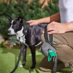 Frisco Dog Poop Bags With Fabric Dispenser 13 Frisco Dog Poop Bags With Fabric Dispenser -Pet Dog Shop 236998 PT6. AC SS1800 V1610772967