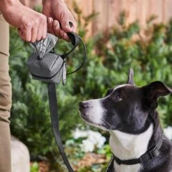 Frisco Large Size Dog Poop Bags With Fabric Dispenser -Pet Dog Shop 237013 PT6. AC SS1800 V1610762789