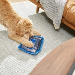 Frisco Zoomies & Chill TV Flat Plush Squeaky Dog Toy 7 Frisco Zoomies & Chill TV Flat Plush Squeaky Dog Toy -Pet Dog Shop 241685 PT6. AC SS1800 V1610768399