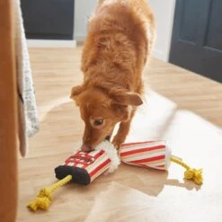 Frisco Zoomies & Chill Theatre Snacks Rope With Plush Squeaky Dog Toy 5 Frisco Zoomies & Chill Theatre Snacks Rope With Plush Squeaky Dog Toy -Pet Dog Shop 241689 PT6. AC SS1800 V1610768279