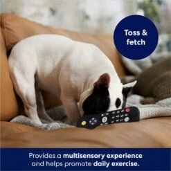 Frisco Zoomies & Chill Remote Latex Squeaky Dog Toy 8 Frisco Zoomies & Chill Remote Latex Squeaky Dog Toy -Pet Dog Shop 241753 PT6. AC SS1800 V1686580150