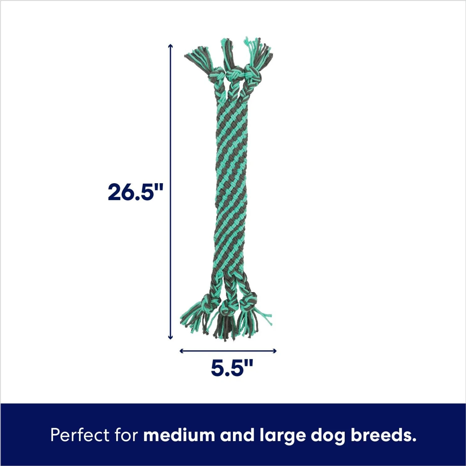 Frisco Flat Teal & Gray Braided Rope Squeaky Fetch Dog Toy 2 Frisco Flat Teal & Gray Braided Rope Squeaky Fetch Dog Toy - Image 2