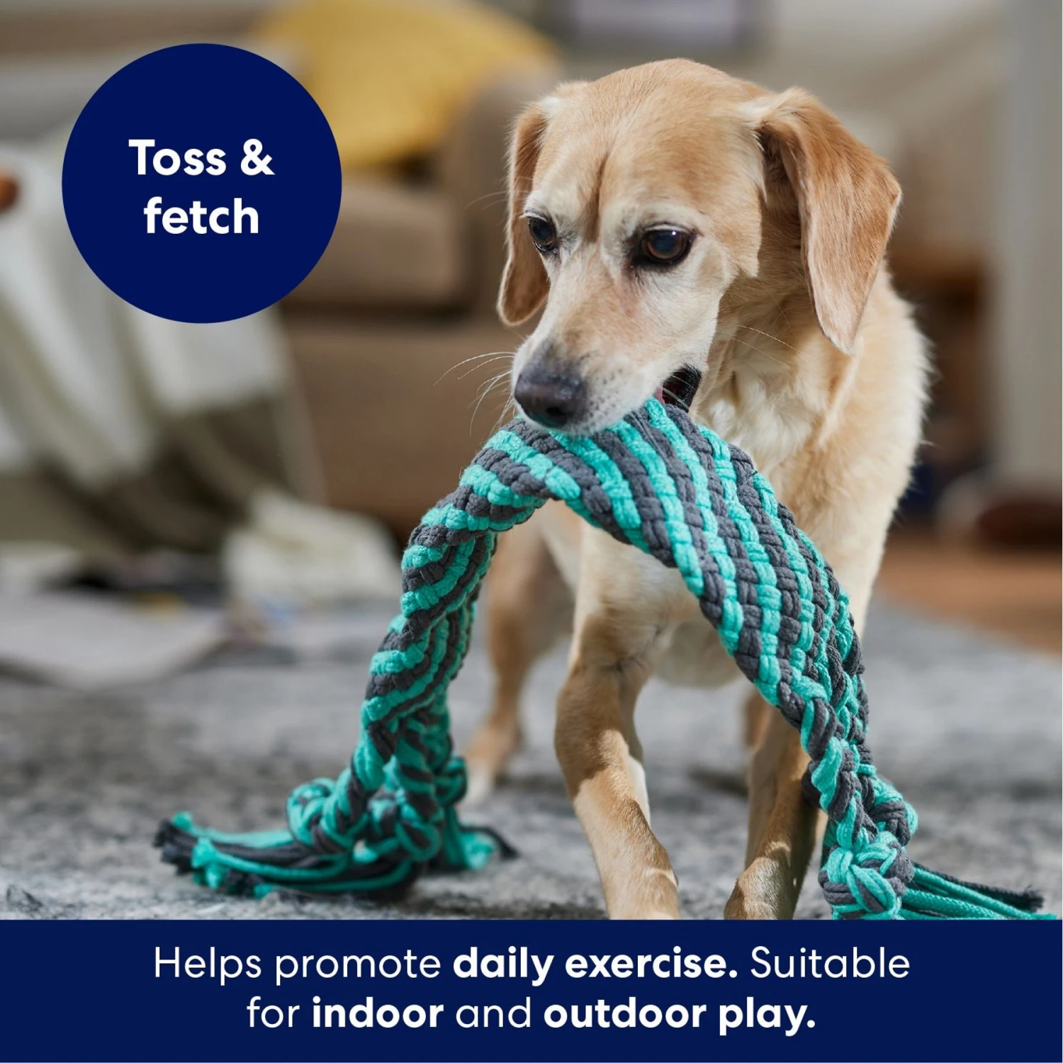 Frisco Flat Teal & Gray Braided Rope Squeaky Fetch Dog Toy 4 Frisco Flat Teal & Gray Braided Rope Squeaky Fetch Dog Toy - Image 4