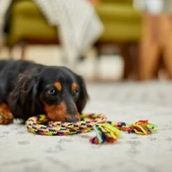 Frisco Pretzel Rope Dog Toy -Pet Dog Shop 242141 PT2. AC SS1800 V1605208795