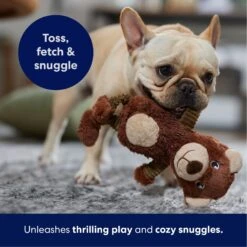 Frisco Bear Plush Squeaky Dog Toy 10 Frisco Bear Plush Squeaky Dog Toy -Pet Dog Shop 245924 PT4. AC SS1800 V1695760929