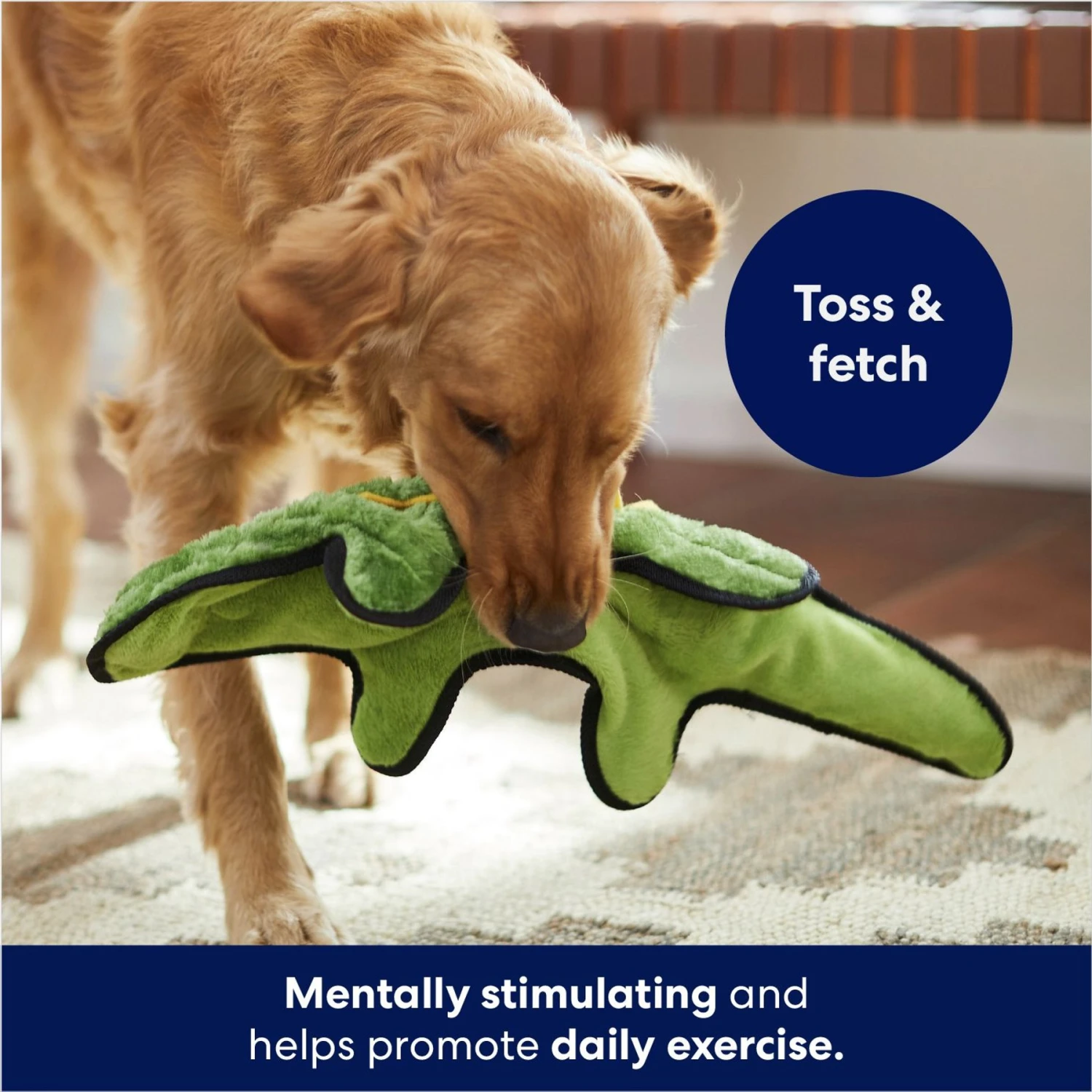 Frisco Alligator Stuffing-Free Flat Plush Squeaky Dog Toy 3 Frisco Alligator Stuffing-Free Flat Plush Squeaky Dog Toy - Image 3