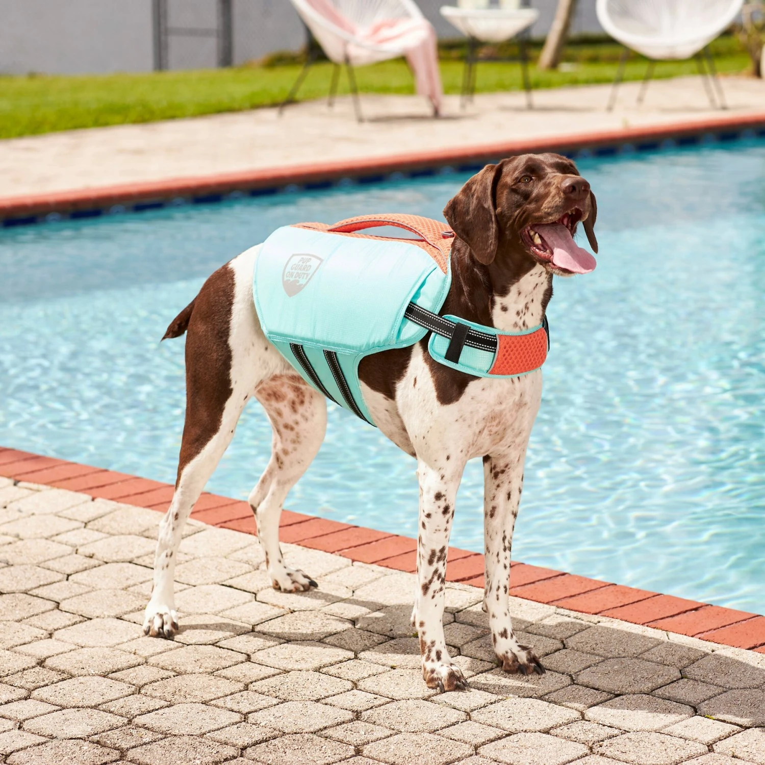 Frisco Active Dog Life Jacket 8 Frisco Active Dog Life Jacket - Image 8
