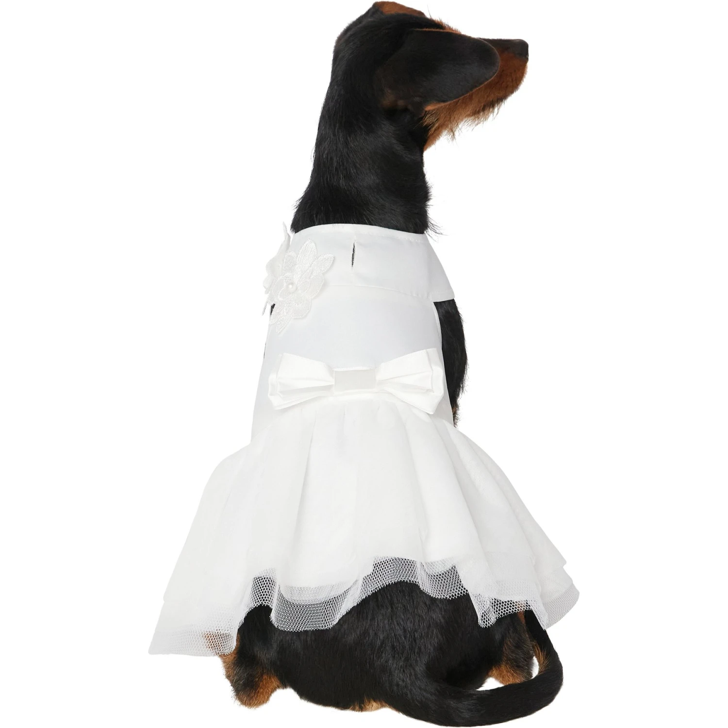 Frisco Formal Dog Wedding Dress 1 Frisco Formal Dog Wedding Dress