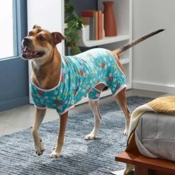 Frisco Teal Floral Dog & Cat Jersey PJs 12 Frisco Teal Floral Dog & Cat Jersey PJs -Pet Dog Shop 249132 PT5. AC SS1800 V1637725019