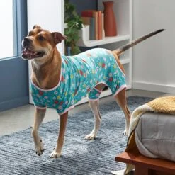 Frisco Teal Floral Dog & Cat Jersey PJs 13 Frisco Teal Floral Dog & Cat Jersey PJs -Pet Dog Shop 249132 PT7. AC SS1800 V1614376401