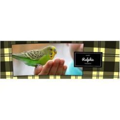 Frisco Double Walled Red Plaid Personalized Tumbler, 30-oz Cup 9 Frisco Double Walled Red Plaid Personalized Tumbler, 30-oz Cup -Pet Dog Shop 249346 PT2. AC SS1800 V1602029161