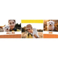 Frisco Double Walled Colored Dots Personalized Tumbler, 30-oz Cup 7 Frisco Double Walled Colored Dots Personalized Tumbler, 30-oz Cup -Pet Dog Shop 249349 PT2. AC SS1800 V1602683766