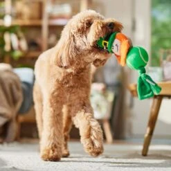 Frisco St. Patrick's Leprechaun Plush With Tennis Ball Squeaky Dog Toy 8 Frisco St. Patrick's Leprechaun Plush With Tennis Ball Squeaky Dog Toy -Pet Dog Shop 249472 PT4. AC SS1800 V1700163040