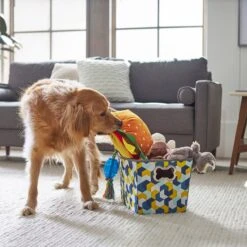 Frisco Rectangle Collapsible Pet Toy Storage Bin, Yellow Geometric 9 Frisco Rectangle Collapsible Pet Toy Storage Bin, Yellow Geometric -Pet Dog Shop 250578 PT3. AC SS1800 V1615572198