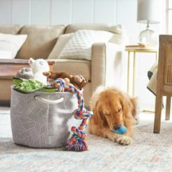 Frisco Round Collapsible Pet Toy Storage Bin, Gray Basket Weave 7 Frisco Round Collapsible Pet Toy Storage Bin, Gray Basket Weave -Pet Dog Shop 250585 PT3. AC SS1800 V1615572111