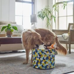 Frisco Round Collapsible Pet Toy Storage Bin, Yellow Geometric 7 Frisco Round Collapsible Pet Toy Storage Bin, Yellow Geometric -Pet Dog Shop 250587 PT3. AC SS1800 V1615572147