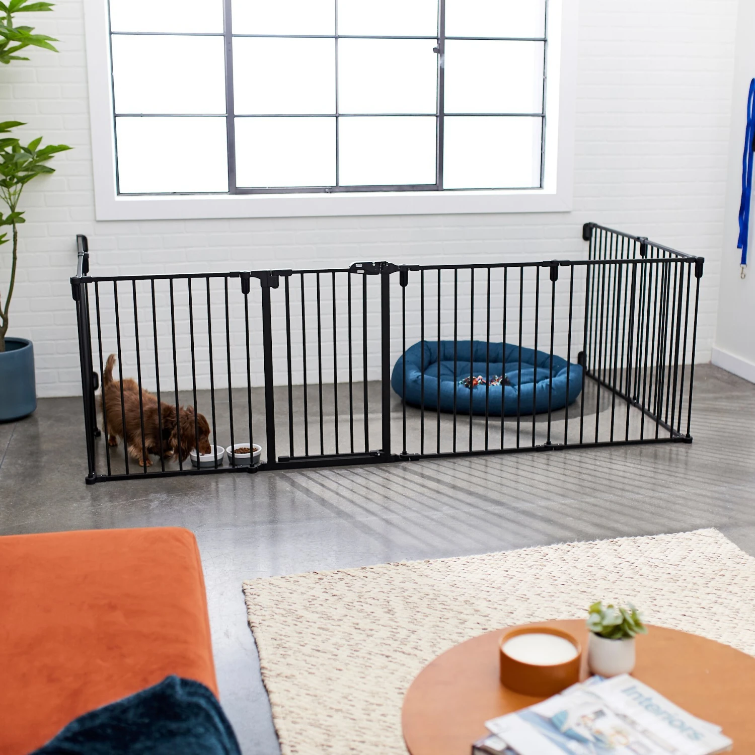 Frisco Steel 8-Panel Configurable Dog Gate & Playpen 4 Frisco Steel 8-Panel Configurable Dog Gate & Playpen - Image 4