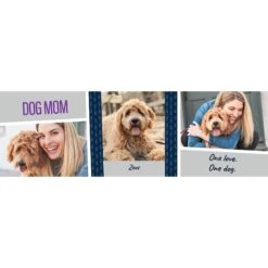 Frisco Double Walled "Dog Mom" Personalized Tumbler, 30-oz Cup 8 Frisco Double Walled "Dog Mom" Personalized Tumbler, 30-oz Cup -Pet Dog Shop 250741 PT2. AC SS1800 V1602689509