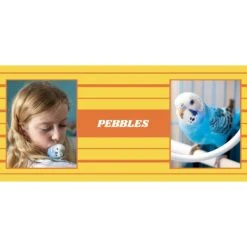 Frisco Double Walled Preppy Stripes Personalized Tumbler, 30-oz Cup 7 Frisco Double Walled Preppy Stripes Personalized Tumbler, 30-oz Cup -Pet Dog Shop 250751 PT2. AC SS1800 V1606678620