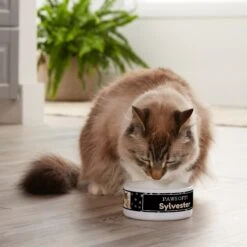 Frisco "Paws Off" Ceramic Personalized Dog & Cat Bowl 7 Frisco "Paws Off" Ceramic Personalized Dog & Cat Bowl -Pet Dog Shop 250829 PT3. AC SS1800 V1610767170