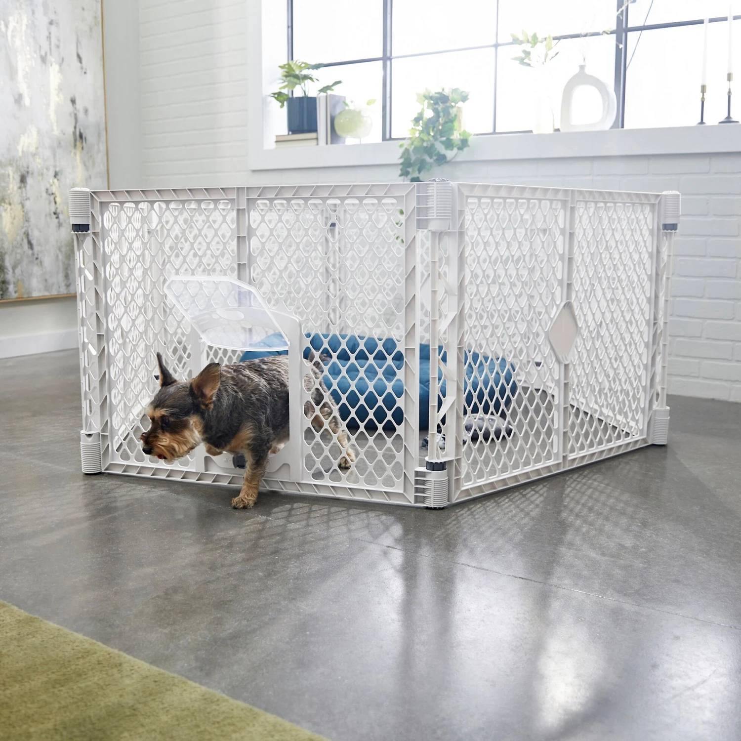 Frisco 6-Panel Plastic Exercise Dog Playpen, Light Gray 1 Frisco 6-Panel Plastic Exercise Dog Playpen, Light Gray