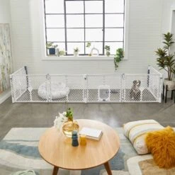 Frisco 6-Panel Plastic Exercise Dog Playpen, Light Gray 14 Frisco 6-Panel Plastic Exercise Dog Playpen, Light Gray -Pet Dog Shop 252045 PT6. AC SS1800 V1611090517