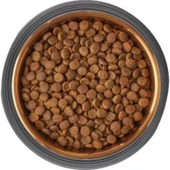 Frisco Matte Black Design Light Copper Stainless Steel Dog & Cat Bowl -Pet Dog Shop 253051 PT5. AC SS1800 V1616526794