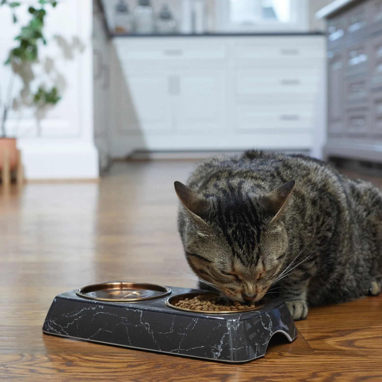 Frisco Copper Stainless Steel Double Dog & Cat Bowls With Black Marble Stand 3 Frisco Copper Stainless Steel Double Dog & Cat Bowls With Black Marble Stand - Image 3