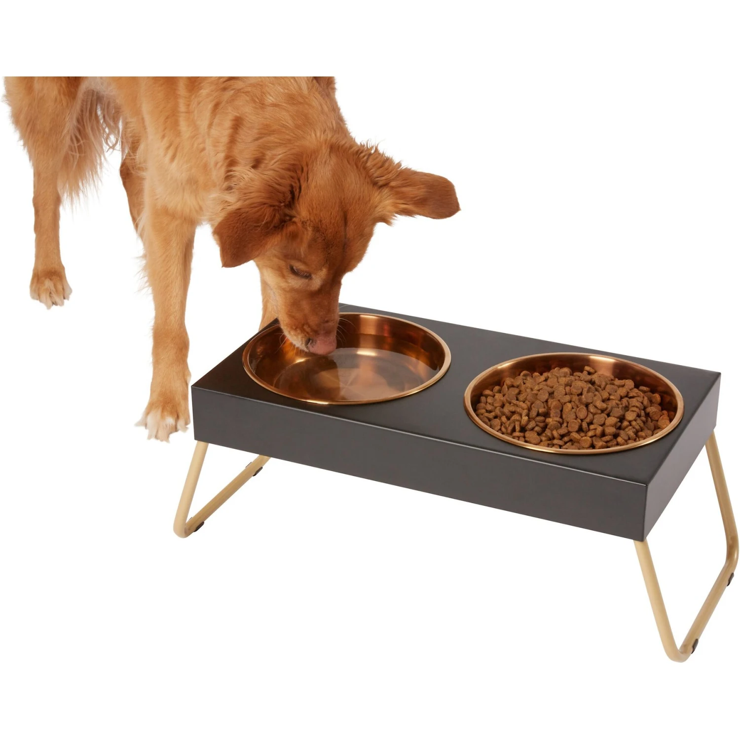 Frisco Copper Stainless Steel Elevated Foldable Double Dog & Cat Bowls 1 Frisco Copper Stainless Steel Elevated Foldable Double Dog & Cat Bowls