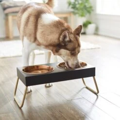 Frisco Copper Stainless Steel Elevated Foldable Double Dog & Cat Bowls 10 Frisco Copper Stainless Steel Elevated Foldable Double Dog & Cat Bowls -Pet Dog Shop 253060 PT2. AC SS1800 V1616594243