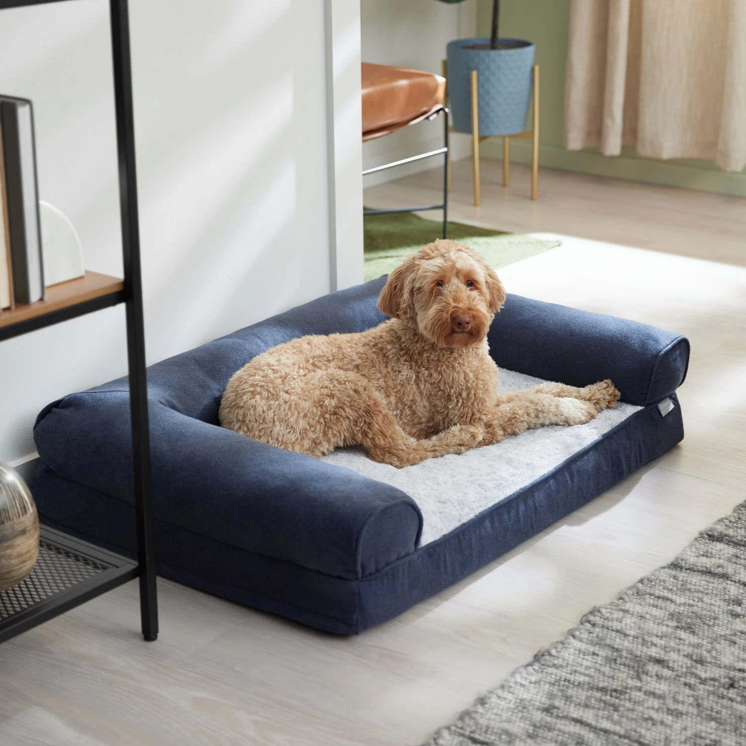 Frisco Faux Felt Orthopedic Sofa Bolster Dog Bed W/Removable Cover 1 Frisco Faux Felt Orthopedic Sofa Bolster Dog Bed W/Removable Cover